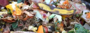 Garden Rubbish Collection