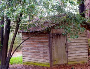 Garden Shed Clearances