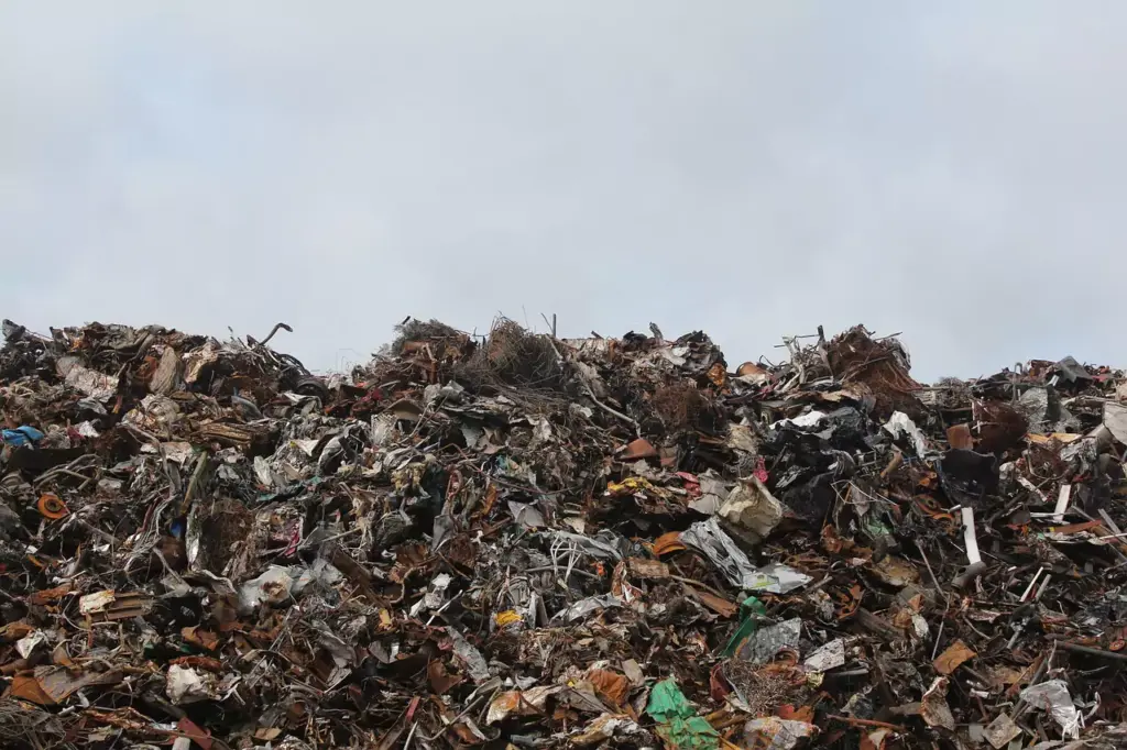Rubbish Removal