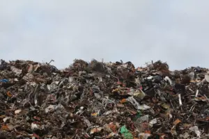 Rubbish Removal