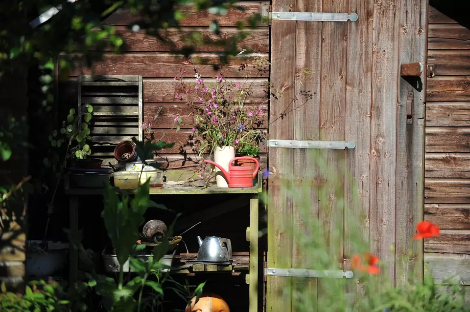 shed rubbish clearance