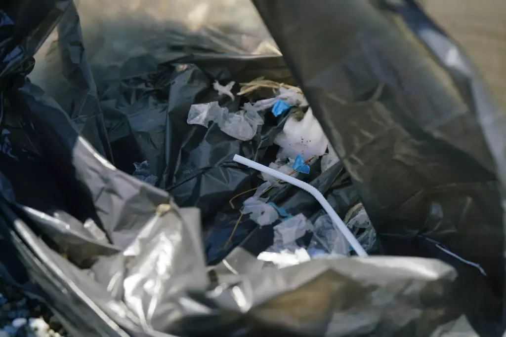 Black Bin Bag Collection Service